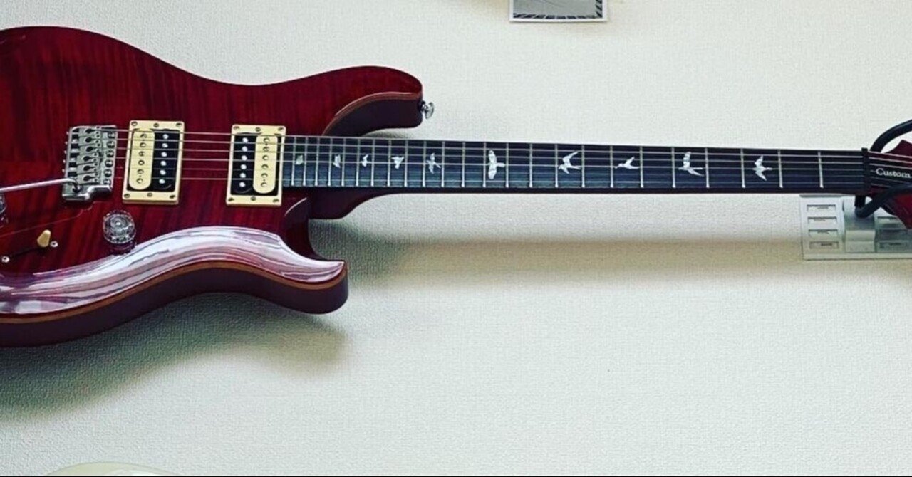 機材レビュー]Paul Reed Smith SE Custom 24(2016)｜Croquette