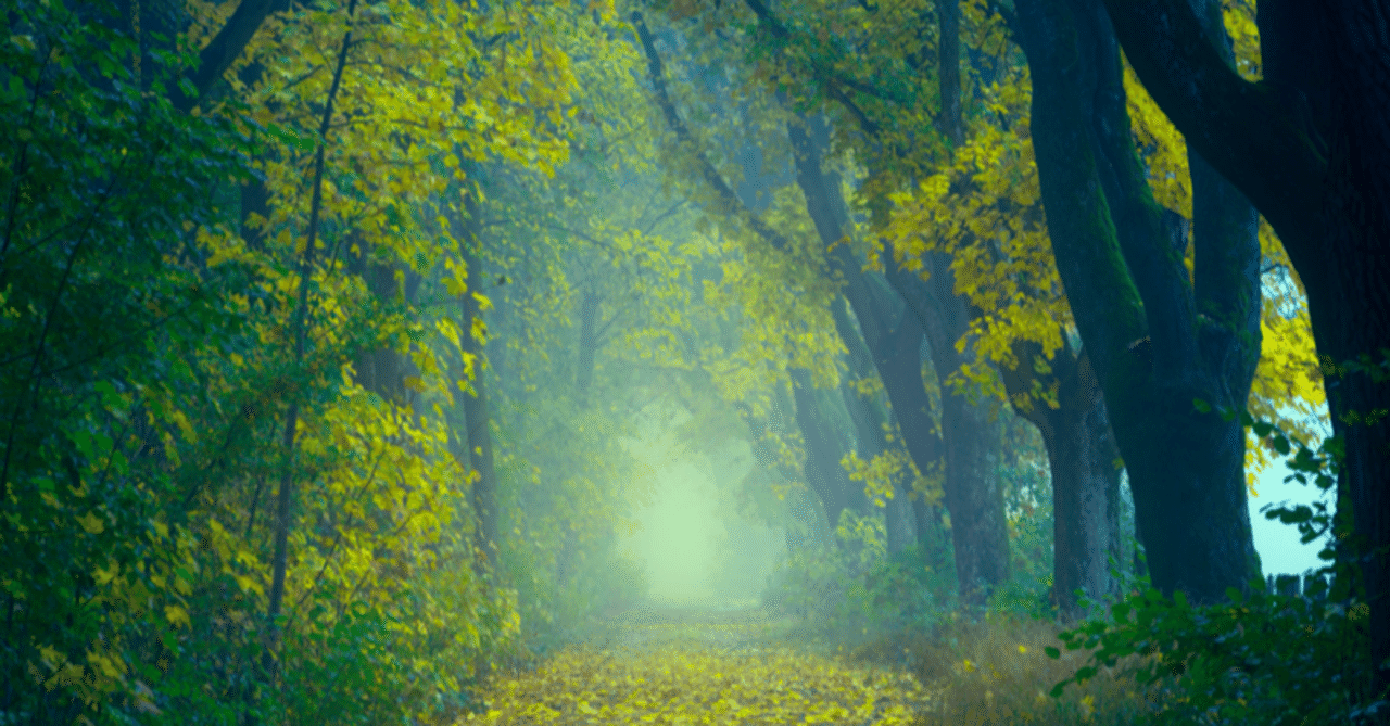 映画化について クリス コルファー めーぷる Note 映画化について クリス コルファー めーぷる Note