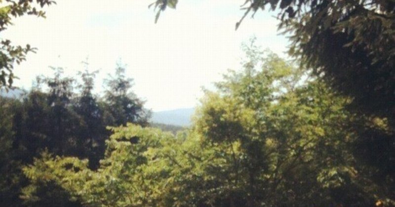 40歳 独身 処女 Hitorizuki Note