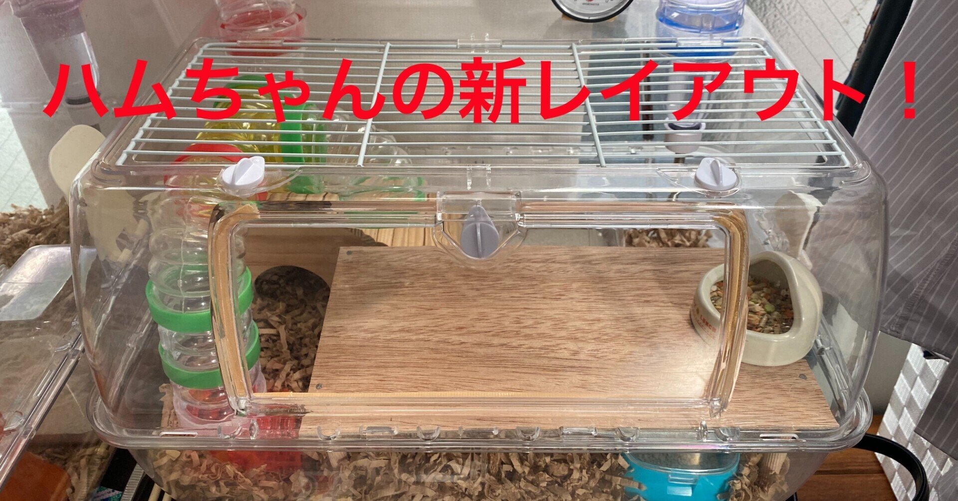 anso3.jpg