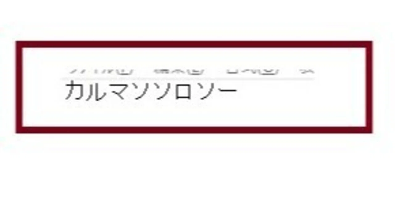 カルマンソロジーは本当に良い靴なのか？（おまけ：ZINRYU氏の 
