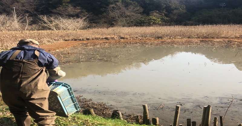 町から、田舎町に移住して変わったこと５つ。