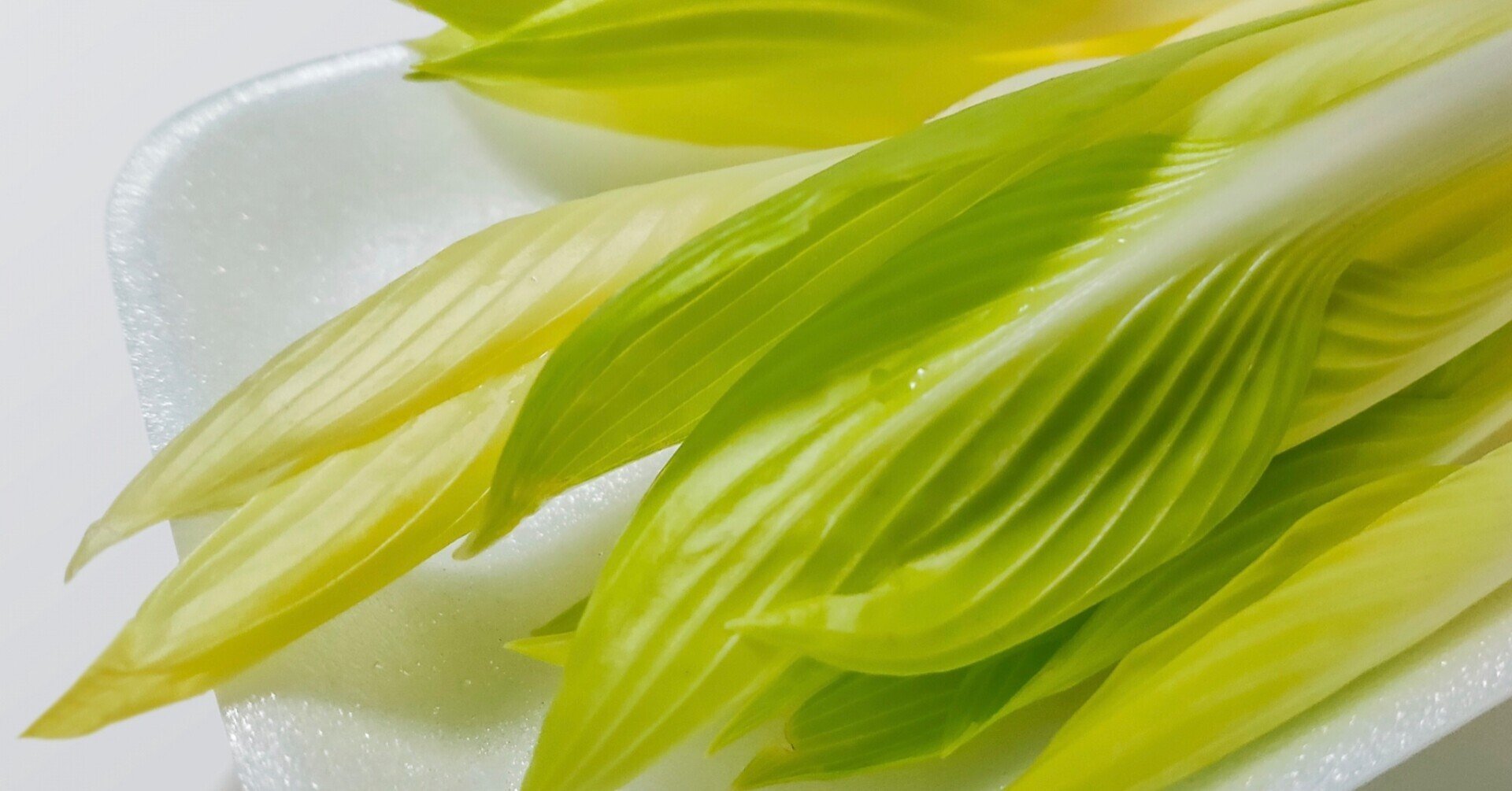 野草食日記 231 ギボウシはどれも食べられるのか なな艸 Note 野草食日記 231 ギボウシはどれも食べられるのか なな艸 Note