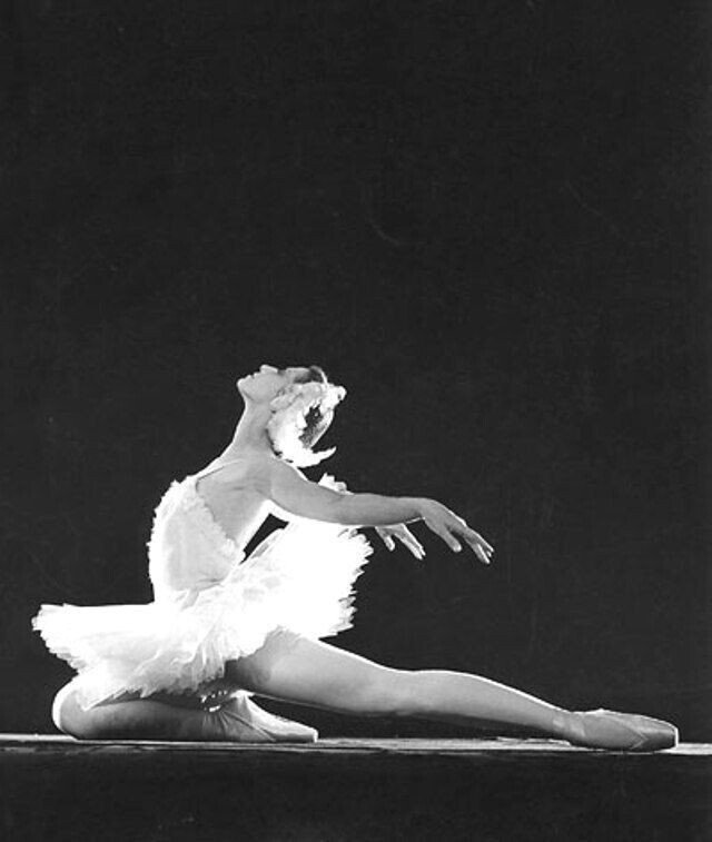 マヤ プリセツカヤ 62歳の白鳥への考察、美しさの年輪に触れて｜HitomiM