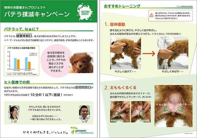 Belle日記 膝蓋骨脱臼 紗窓ともえ Note