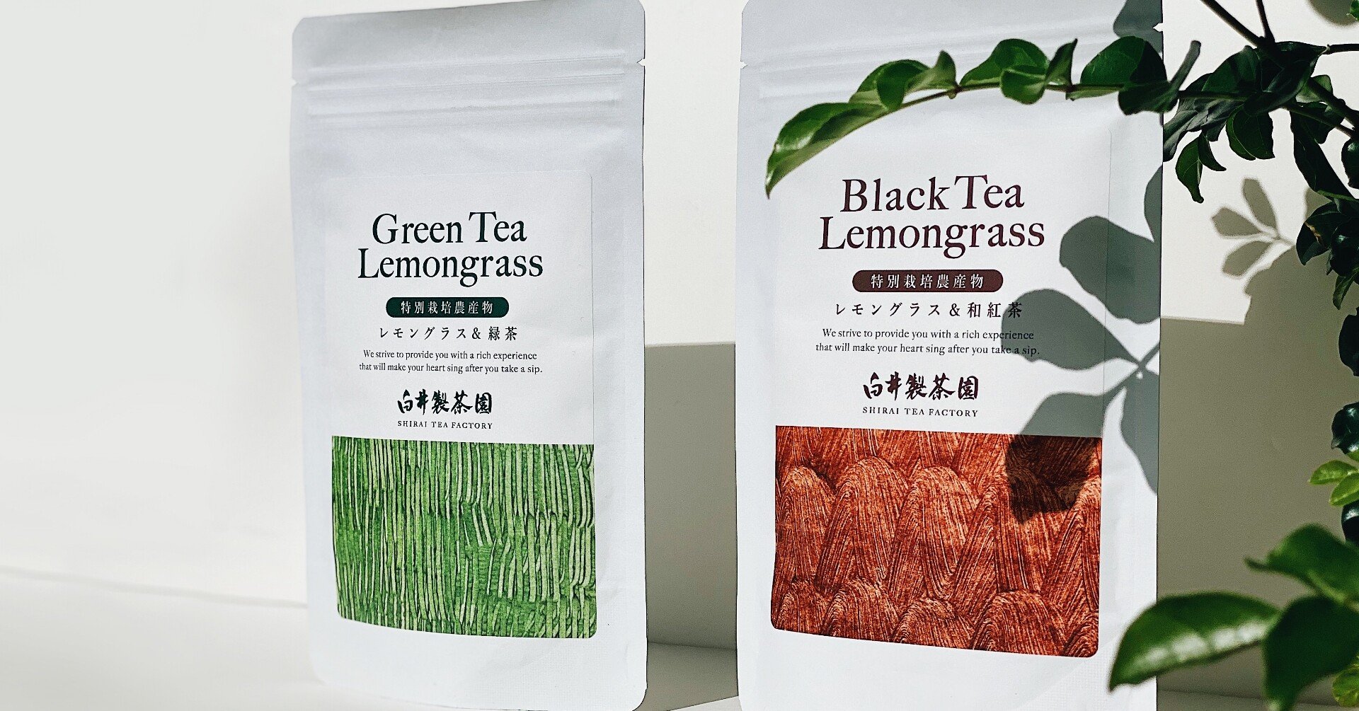 新発売 レモングラス 和紅茶とレモングラス 緑茶 白井製茶園 Note 新発売 レモングラス 和紅茶とレモングラス 緑茶 白井製茶園 Note