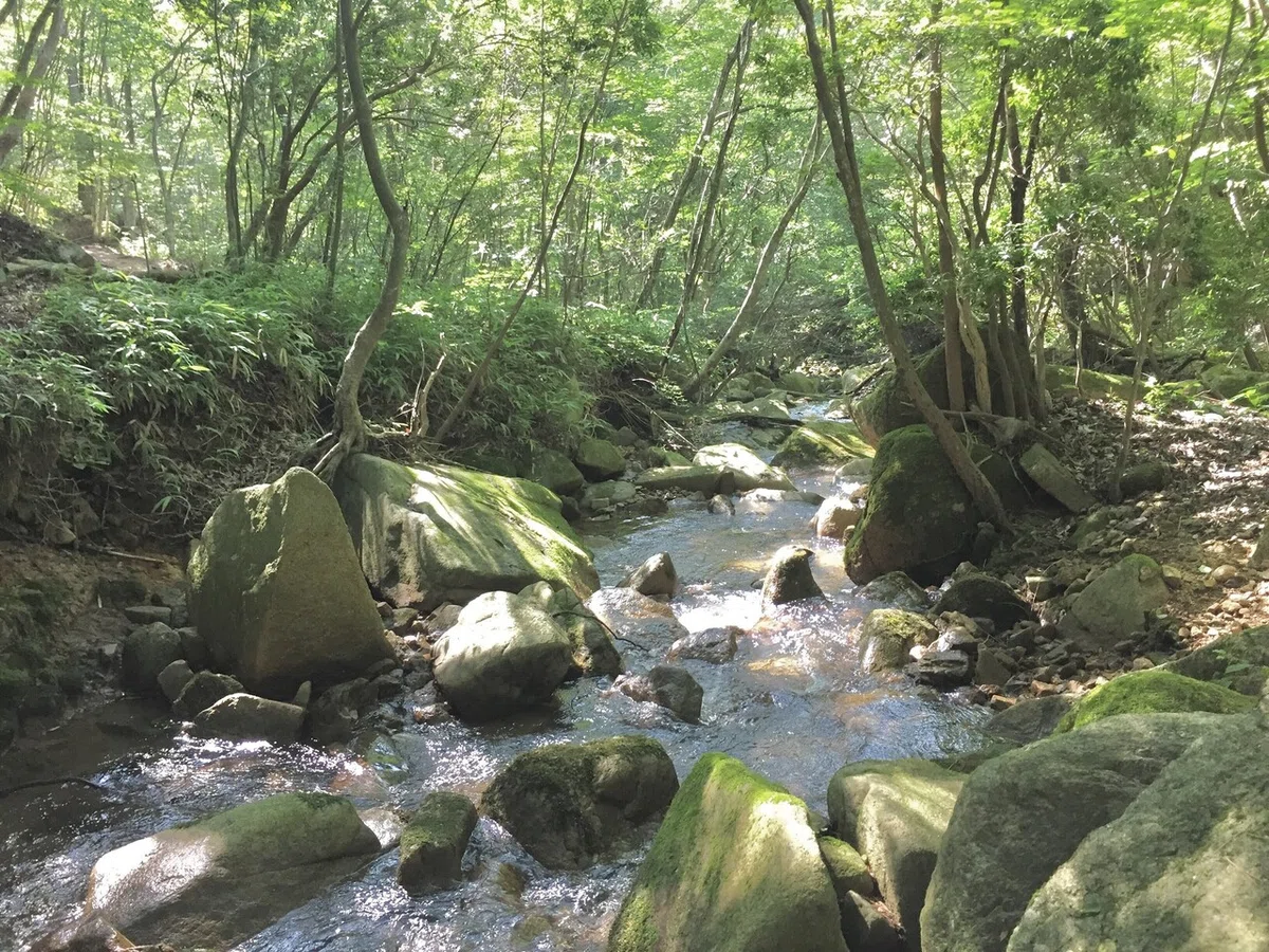 画像7