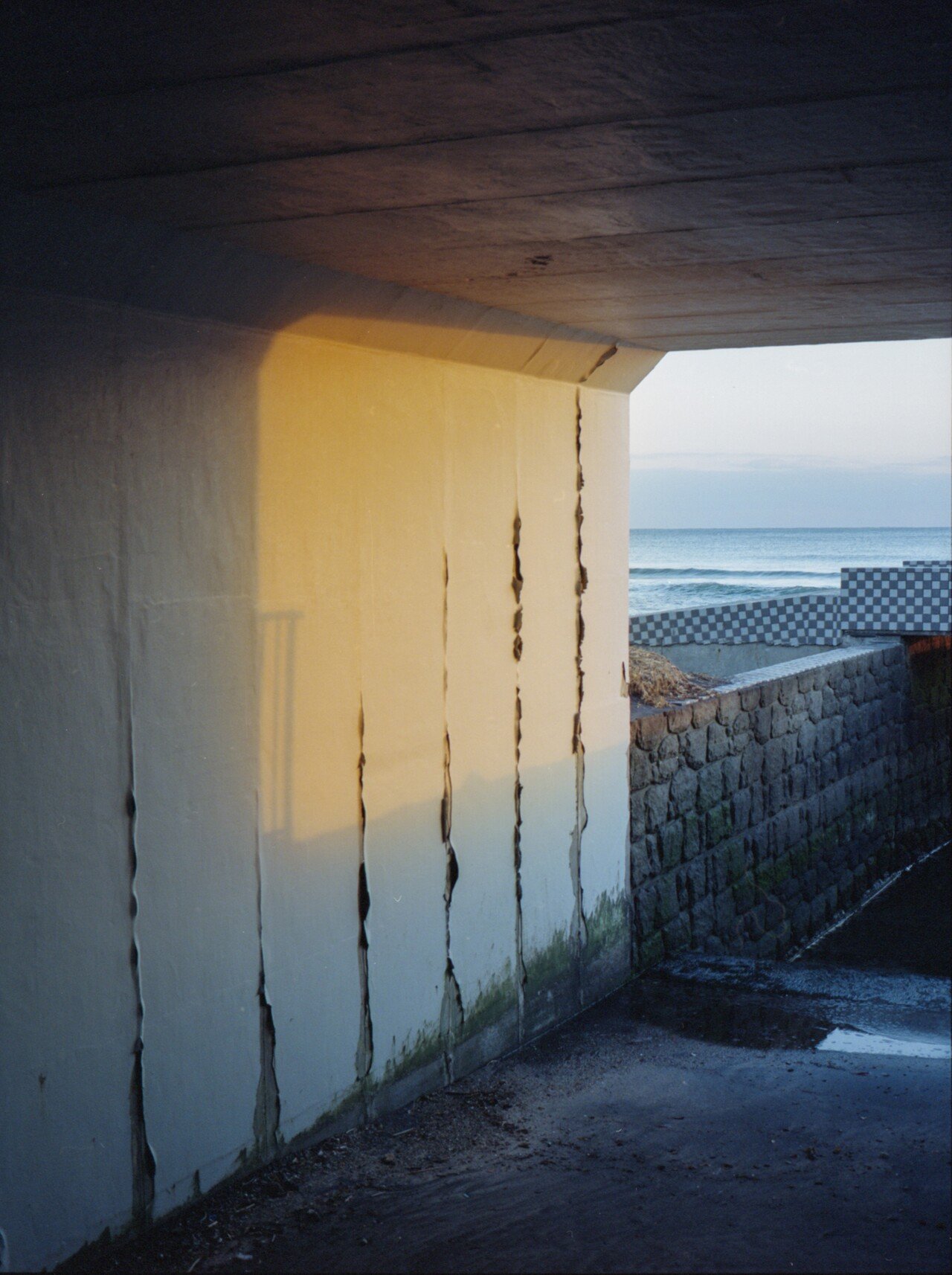 作例あり】初心者にもオススメな中判フィルムカメラFUJIFILM GA645Zi