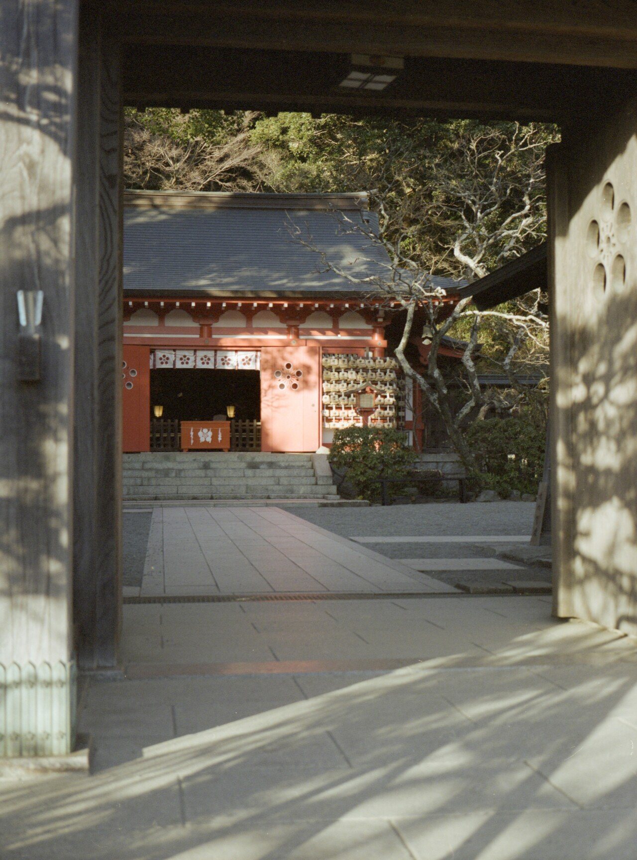 作例あり】初心者にもオススメな中判フィルムカメラFUJIFILM