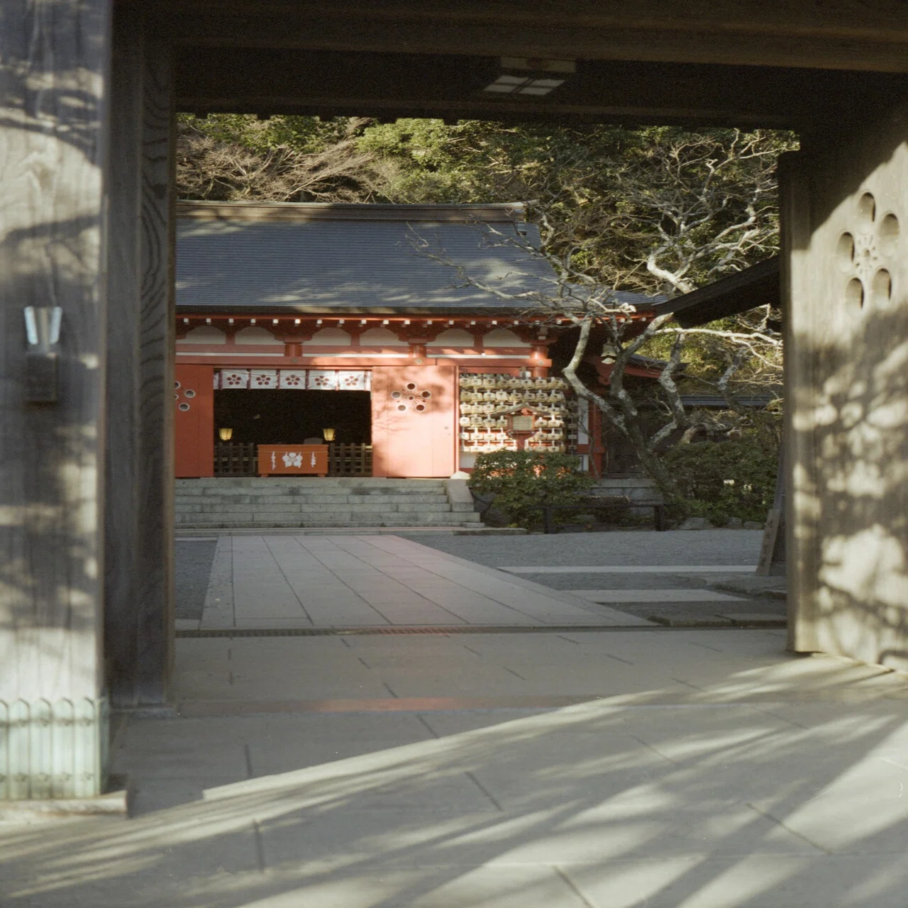 作例あり】初心者にもオススメな中判フィルムカメラFUJIFILM GA645Zi 