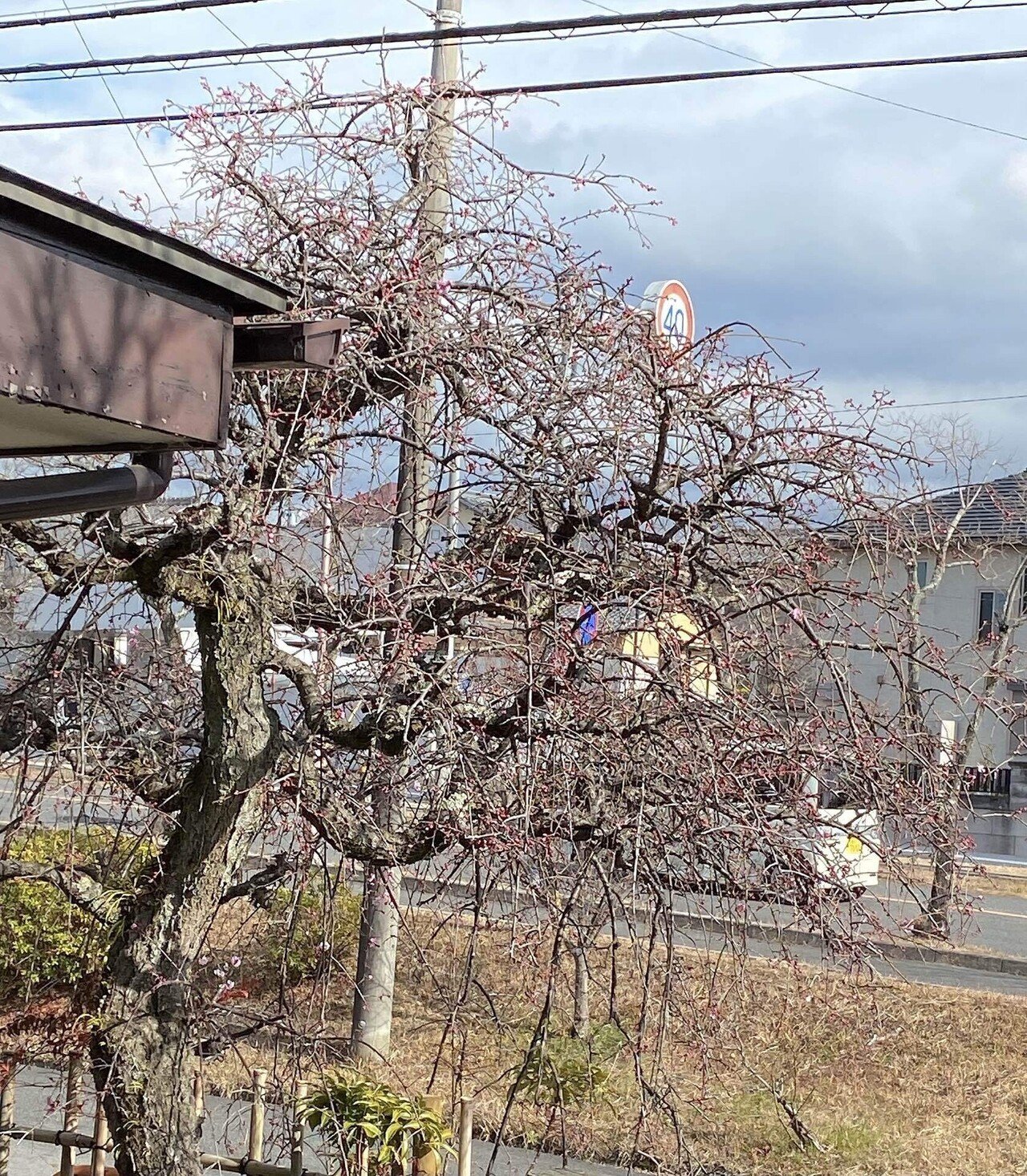 りょうし漁師 どこで魚師って見たんやろ 夢 私も打ってておかしいな 思っててん せやけど魚師って見たから打ち直したのに でも今みたらtvオープニングも漁師なってる 友達に教えて貰って打ち直したけど ワカメ Note