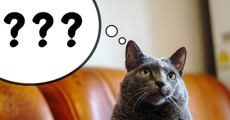 猫 共通する悩みを抱える猫飼いさん たけblog Note