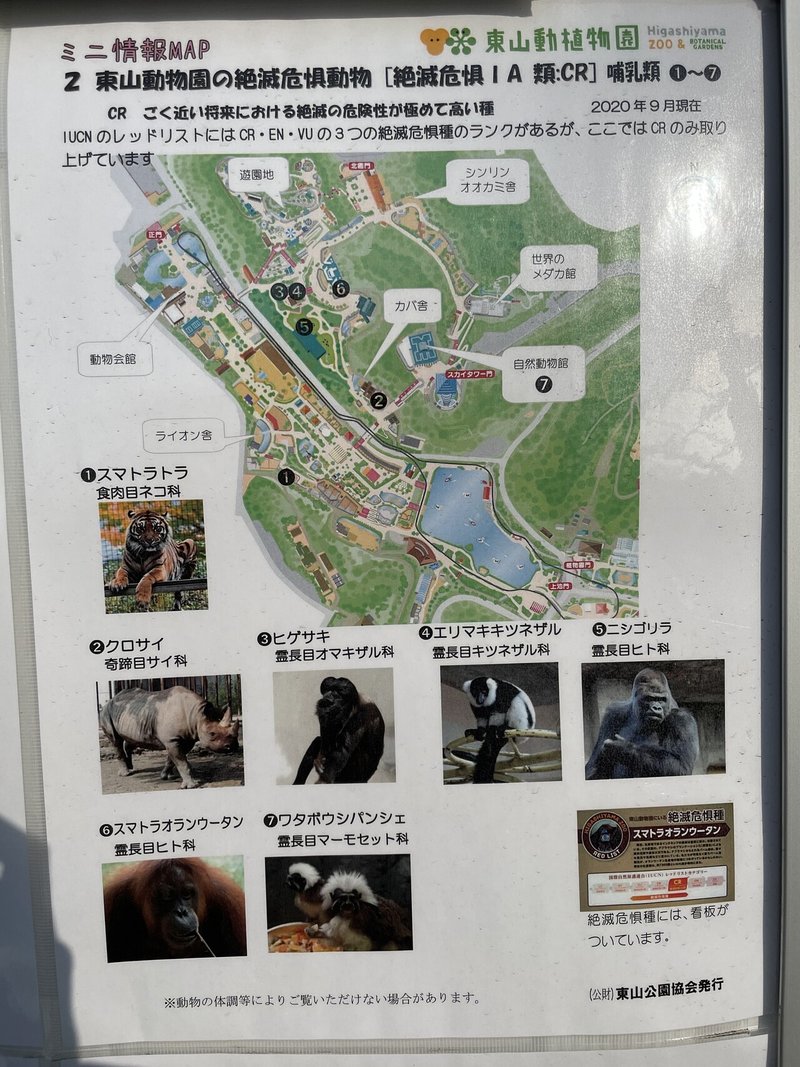 42 あいちの魅力 東山動物園 ゆう 旅行大好き Note