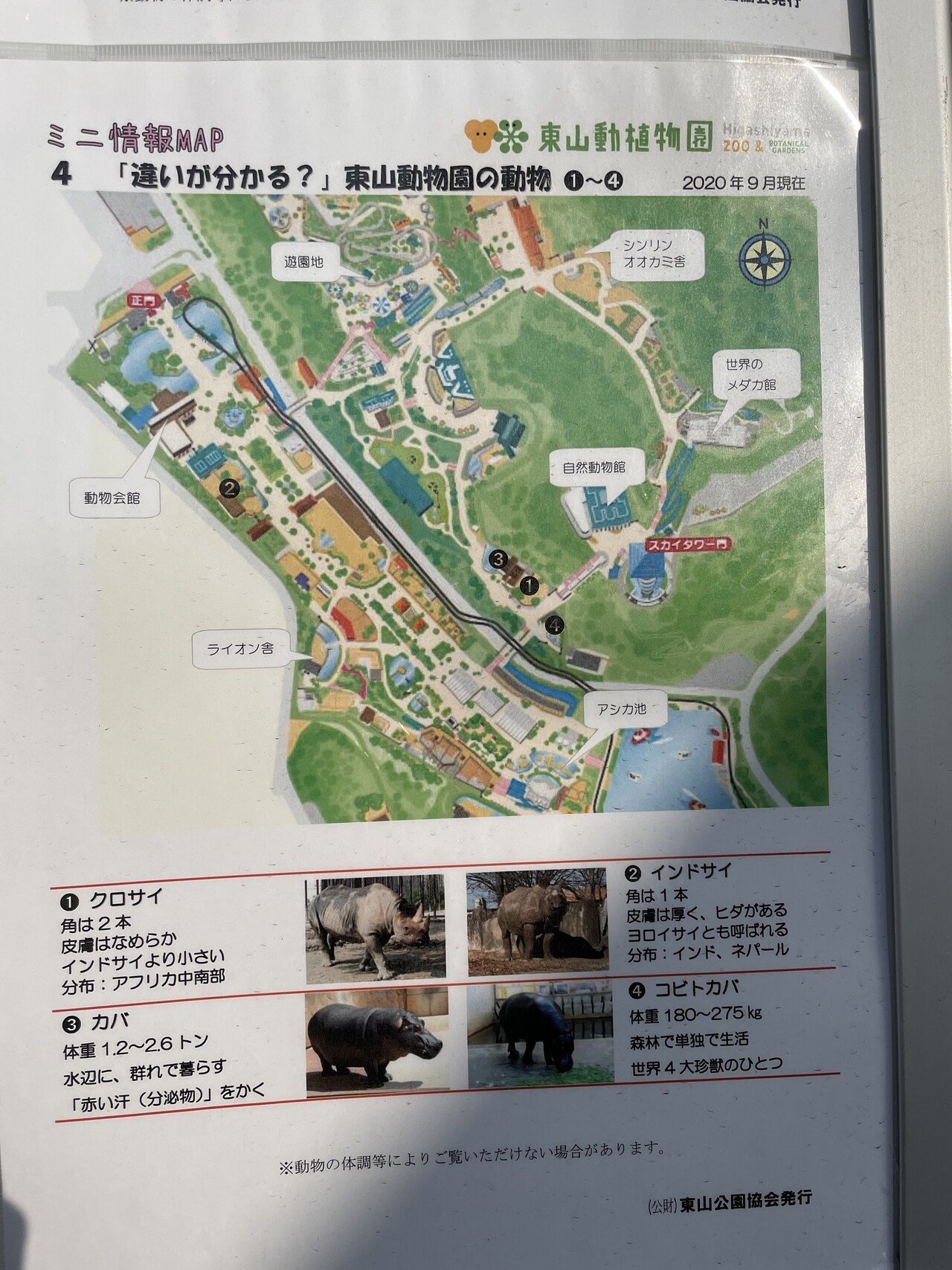 42 あいちの魅力 東山動物園｜ゆう@旅行大好き