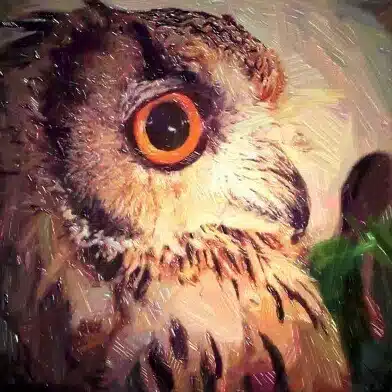 くら