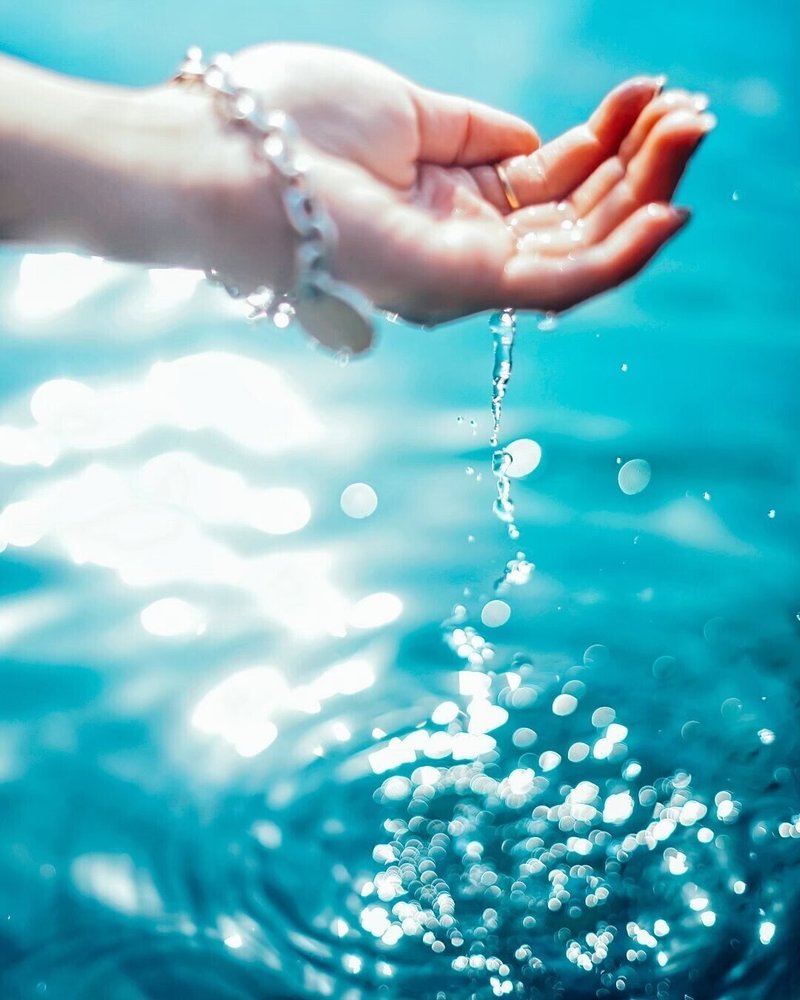 写真を好きになるまで 胸を張れるものなんてなかった もろんのんの 出会いと今まで Artist Interview もろんのん 1 4 Curbon 写真と歩むライフスタイル Note