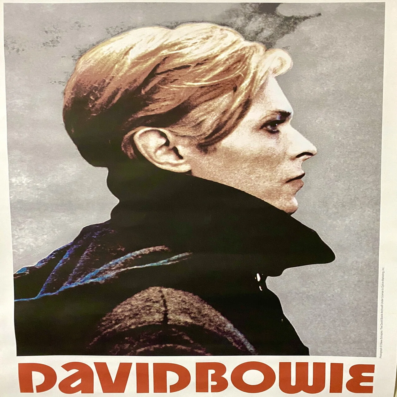 デビッド・ボウイ 展ポスター 行けなかった石岡瑛子展と、パリで見たデヴィッド・ボウイ展のこと