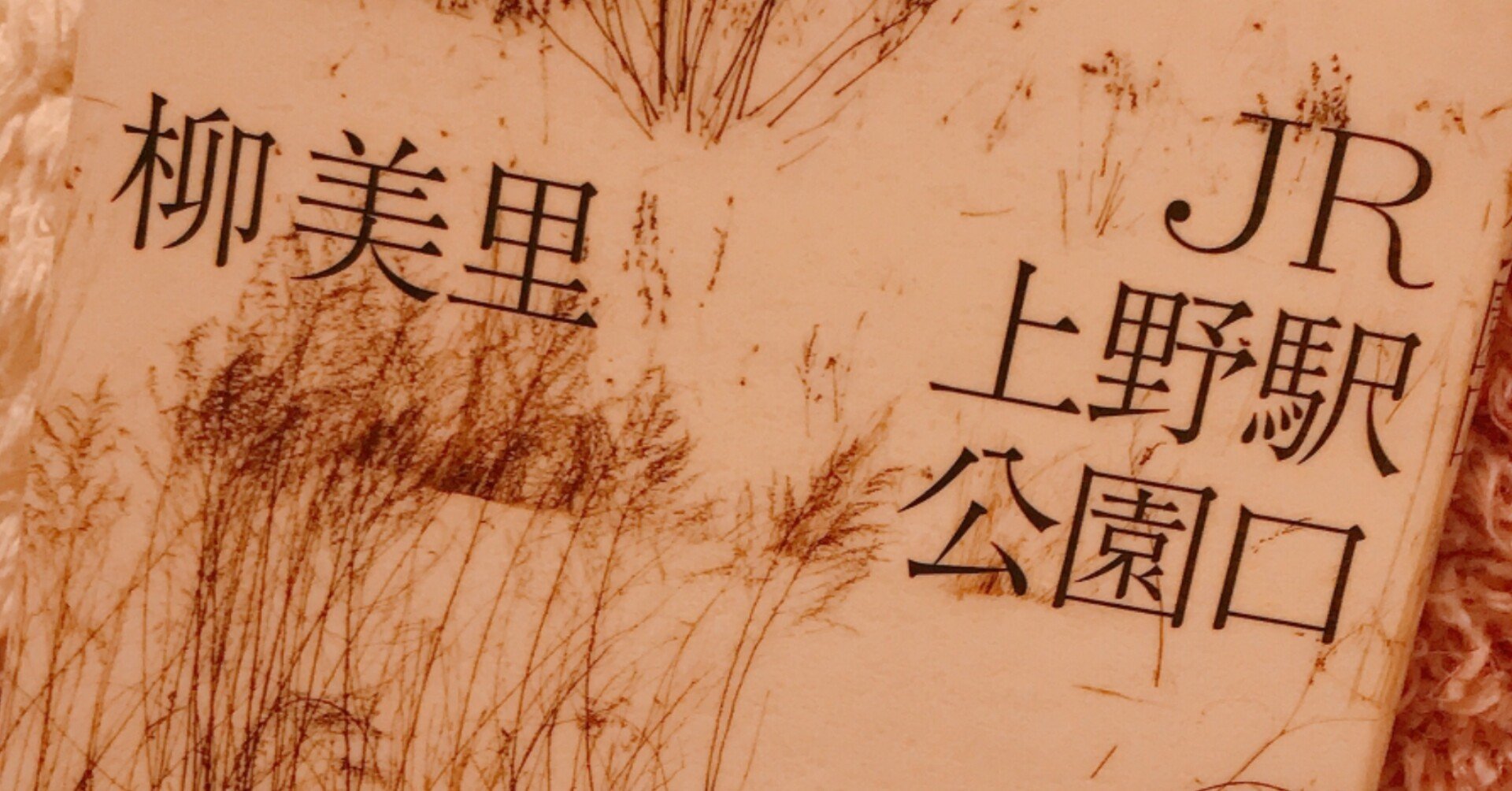 Jr上野駅公園口の感想 えびp Note Jr上野駅公園口の感想 えびp Note