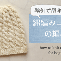 アラン模様のニット帽の編み図 パターン レシピ かず あみもの帖 Note