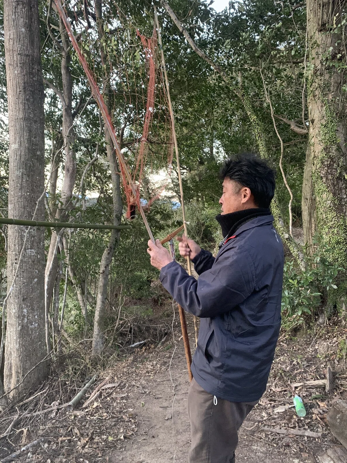 画像4