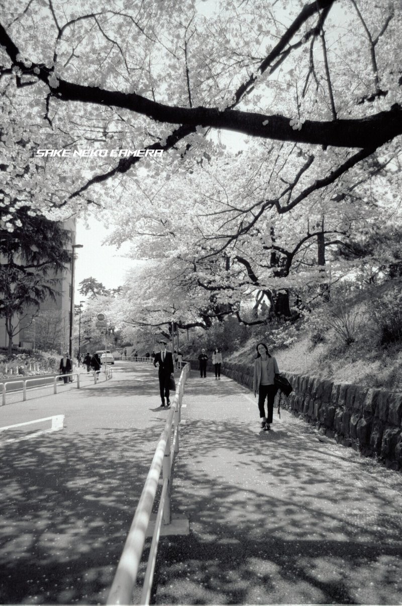 縦写真のサイズを変える キハ2222 Note 縦写真のサイズを変える キハ2222 Note