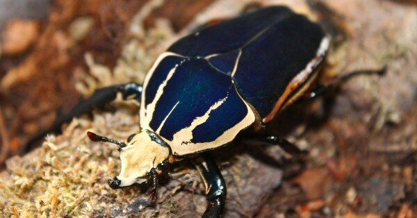 4e573aa9c384fcadffe95ffd66b26a