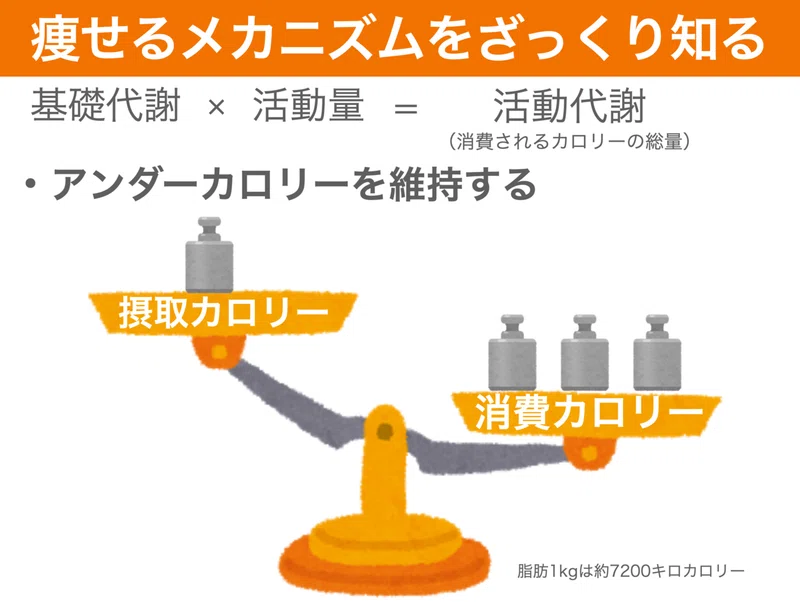 私が23 Kg痩せる習慣を身につけるまでとそこから得た学び きよあき Note