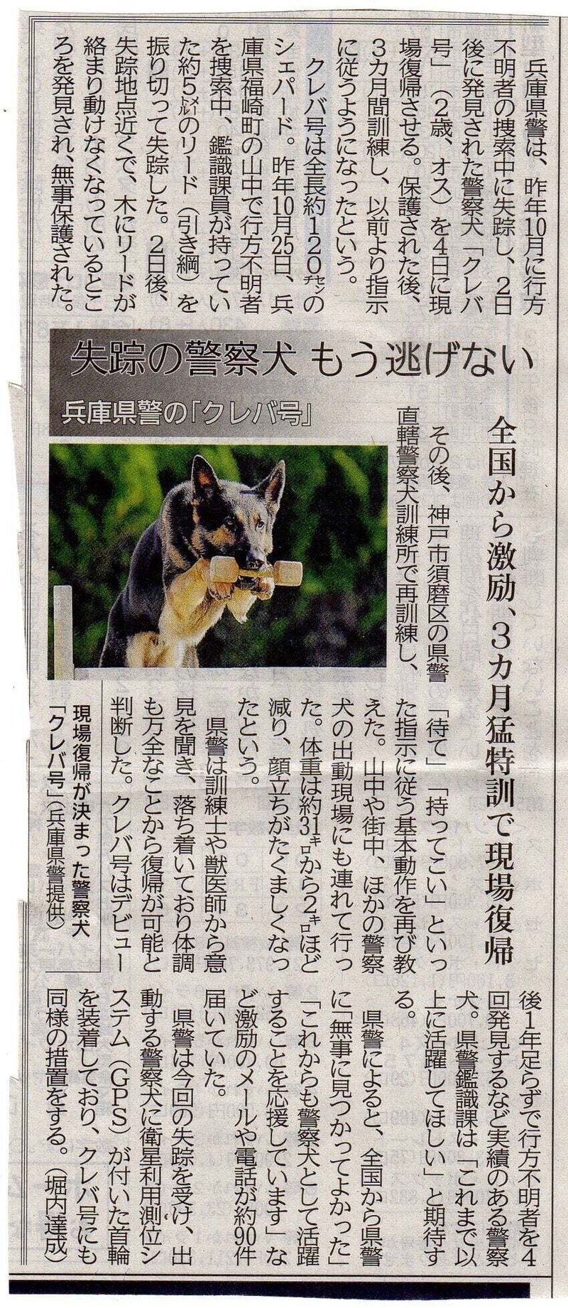 警察 犬 クレバ