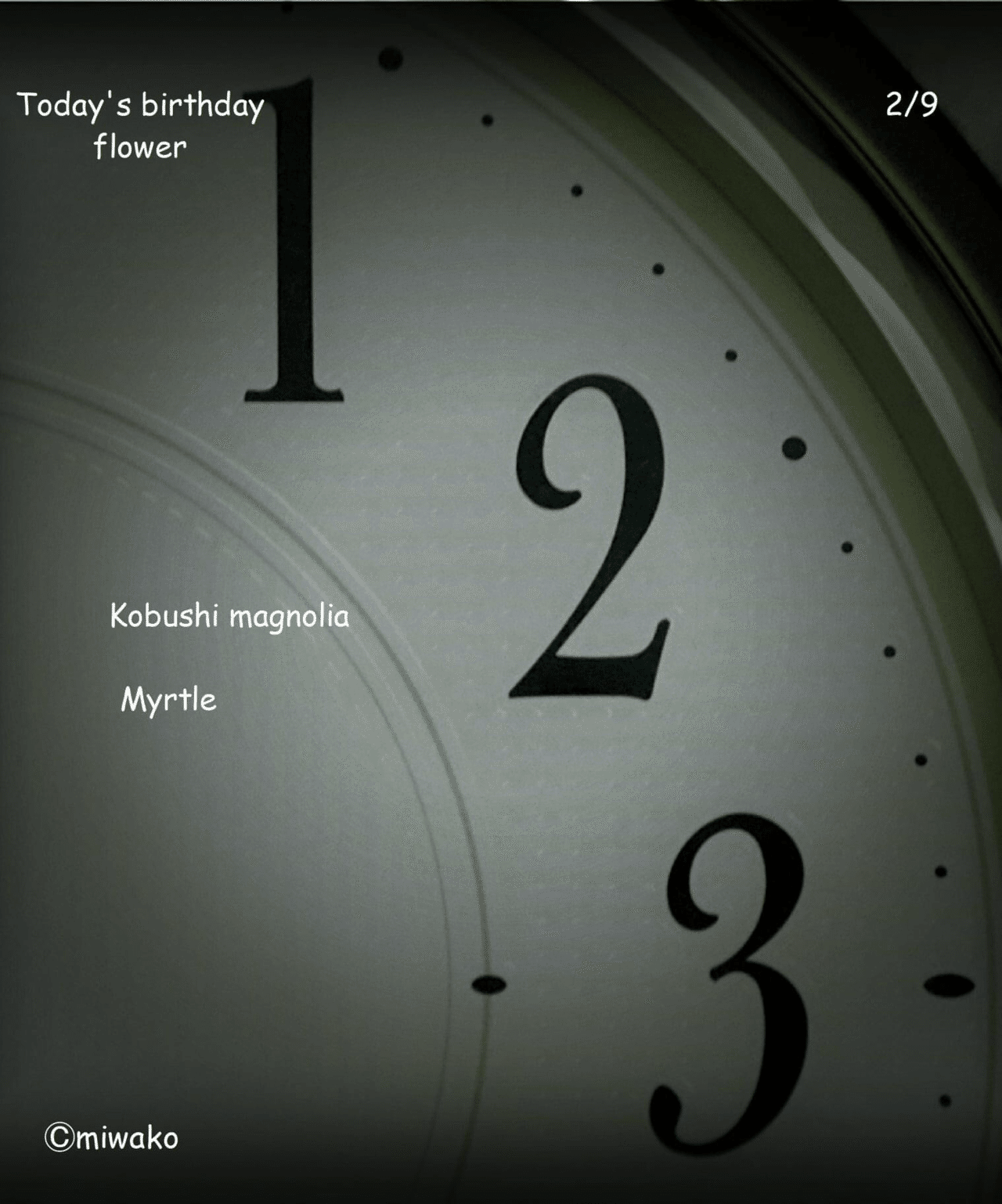 誕生花2 9 Miwako Note 誕生花2 9 Miwako Note