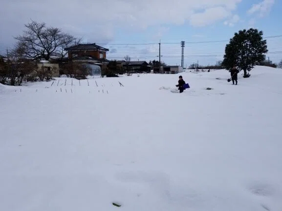 画像12
