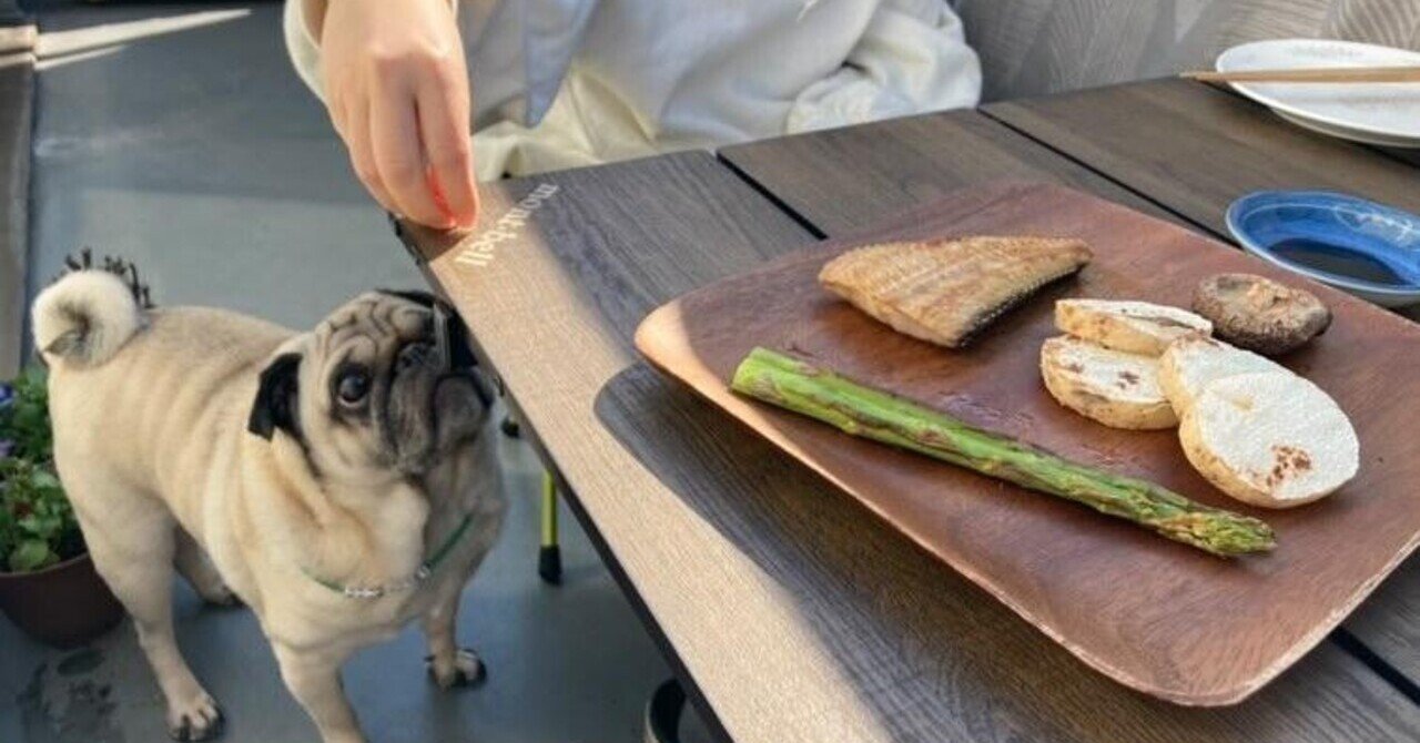 ベランダごはんでゴンザレスとひなたぼっこ 幸 秀和 Note