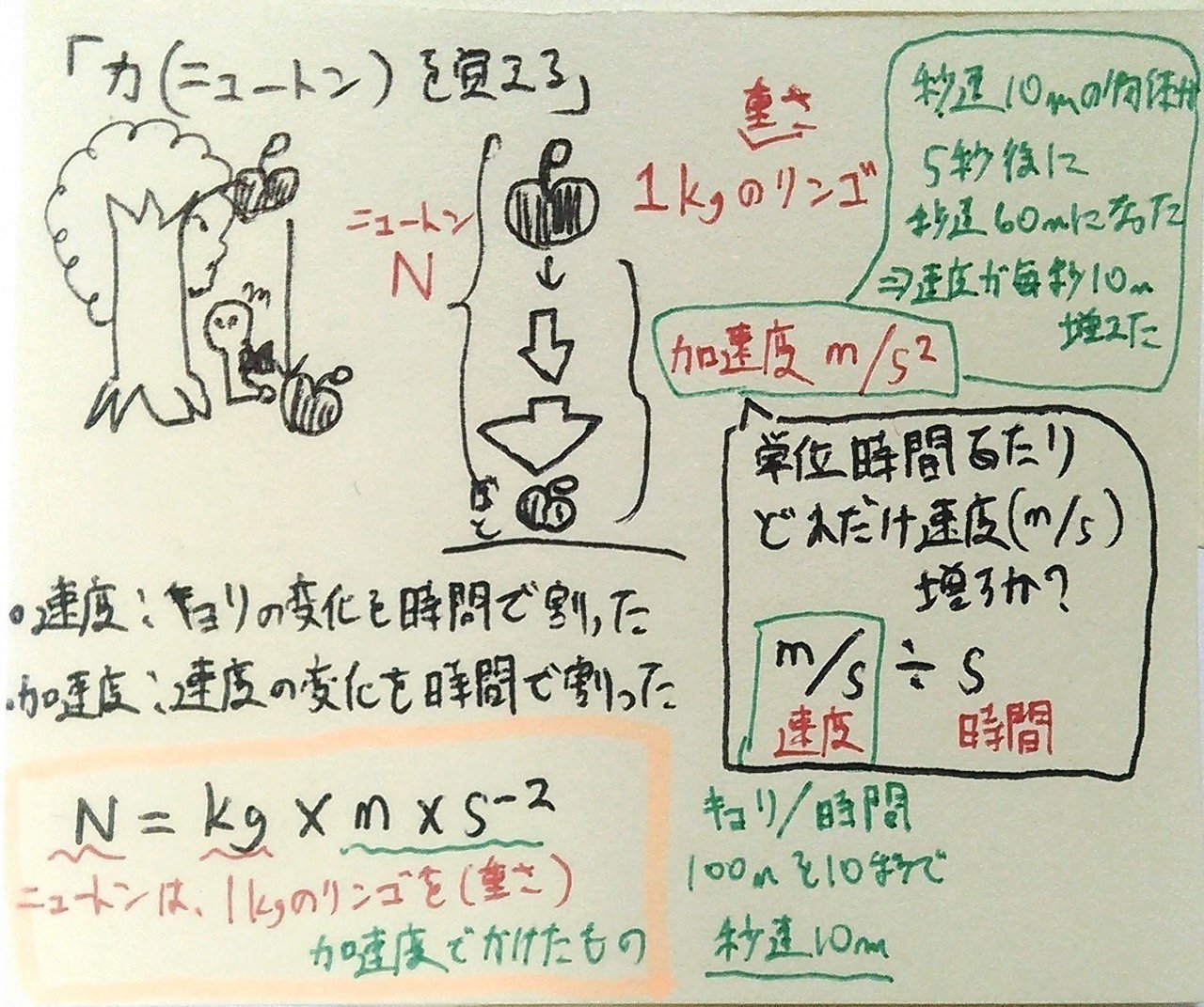 薬剤師国家試験　まとめノート　語呂ノート　価格交渉可 国試当日はこれだけ持参。付箋まとめノート260枚（付箋1500枚）｜製薬