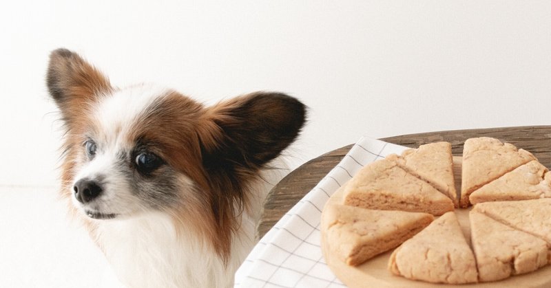 ピンクがかわいい 冷凍いちごと米粉のグルテンフリースコーン 手作り犬おやつレシピ 単品購入 いちかわあやこ 犬ごはん先生 Note ピンクがかわいい 冷凍いちごと米粉のグルテンフリースコーン 手作り犬おやつレシピ 単品購入 いちかわあやこ 犬ごはん先生 Note