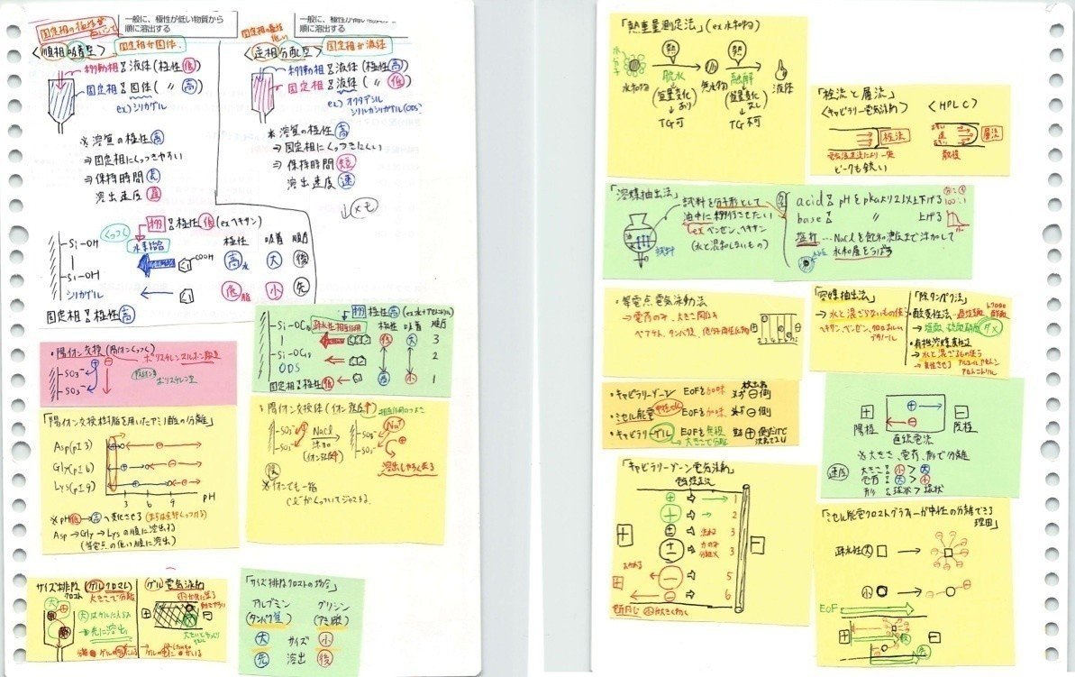 国試当日はこれだけ持参。付箋まとめノート260枚（付箋1500枚）｜製薬