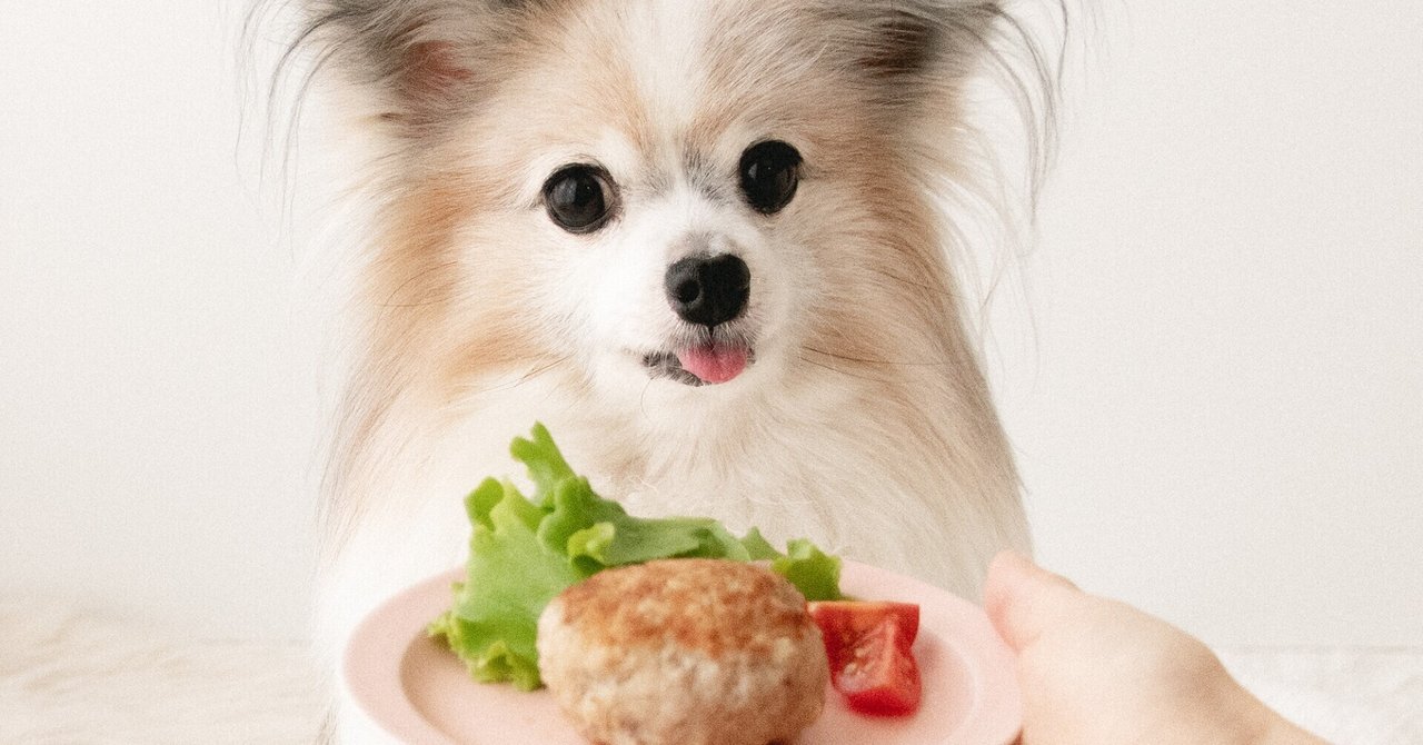 オートミールでふんわり チーズインハンバーグ 手作り犬おやつレシピ 犬ごはん先生いちかわあやこ Official Web Site オートミールでふんわり チーズインハンバーグ 手作り犬おやつレシピ 犬ごはん先生いちかわあやこ Official Web Site