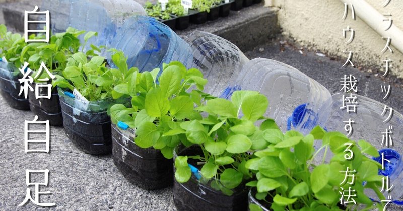 半自給自足 300円以下で有機栽培 ペットボトルですくすく育つオーガニック野菜 無農薬 低コストの有機肥料 ペットボトルでハウス 栽培 maroon note