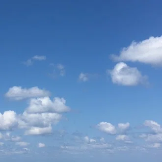 しいなかおる