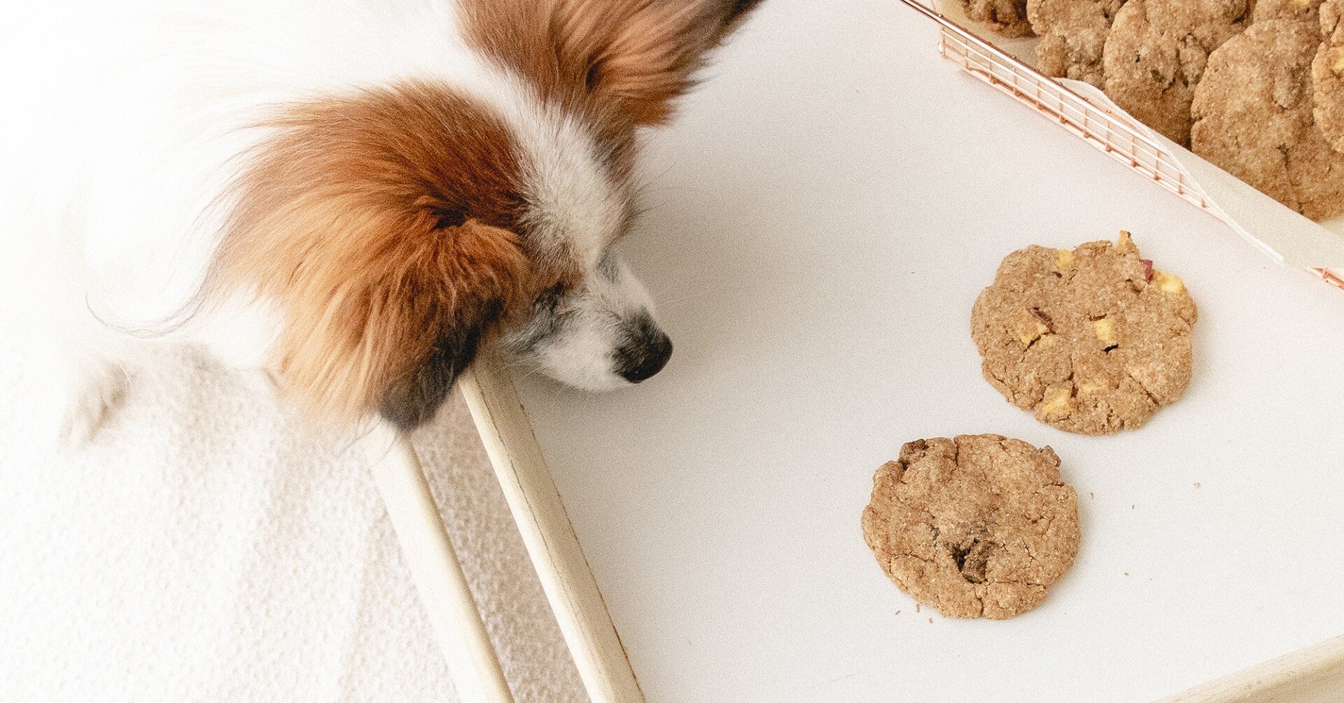 型抜き不要 ビーフ さつまいもチャンククッキー 手作り犬おやつレシピ いちかわあやこ 犬ごはん先生 Note