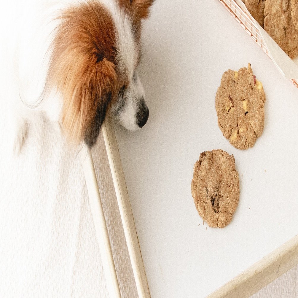 型抜き不要 ビーフ さつまいもチャンククッキー 手作り犬おやつレシピ 単品購入 いちかわあやこ 犬ごはん先生 Note