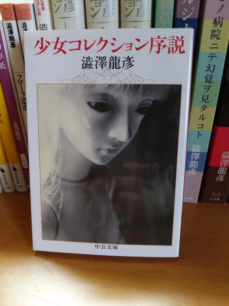 私の澁澤龍彦愛 読書レビュー番外編 ミケ 眉間のノンオイル Note 私の澁澤龍彦愛 読書レビュー番外編 ミケ 眉間のノンオイル Note