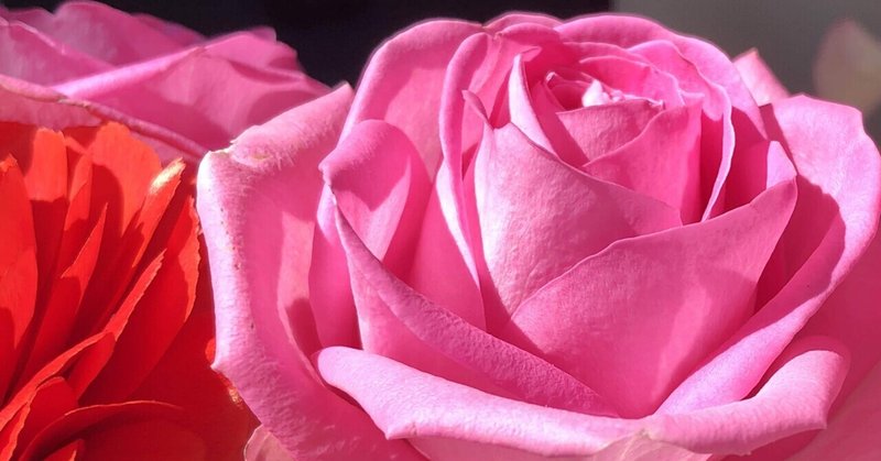 桜色に頬を染めた母を見て いくつになっても女子は女子と微笑ましい瞬間 アオ Note