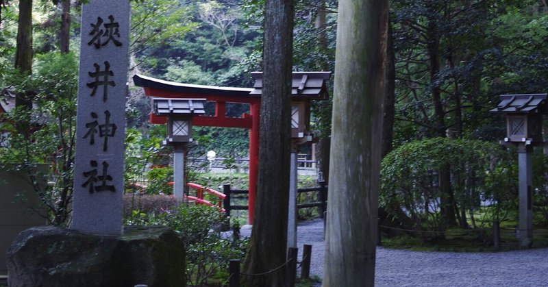 奈良のよいとこ #035 狭井神社