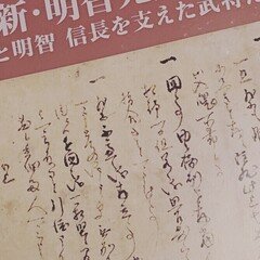 追悼ディエゴ・マラドーナ｜モリマサシ / THE FOREST