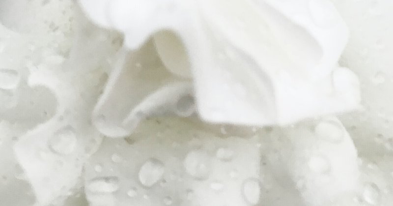 パイ投げセットはどこで売ってる 販売店舗を調査 売ってるちゃん Note