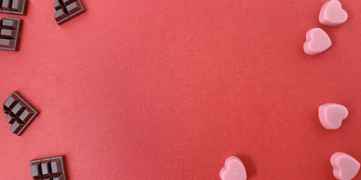 画像15