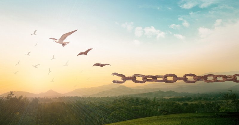 駆け出しフリーランスにも関わらず 毎日幸せに過ごせている私のお話 備忘録 Maria Note