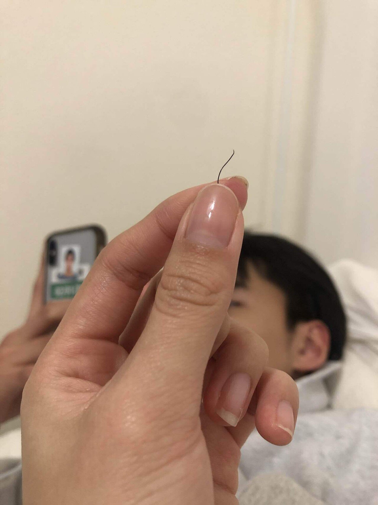 報告 今日ひでおの鼻毛を抜きました 定期的にこの太さのレジェンドが現れます Vivi Note