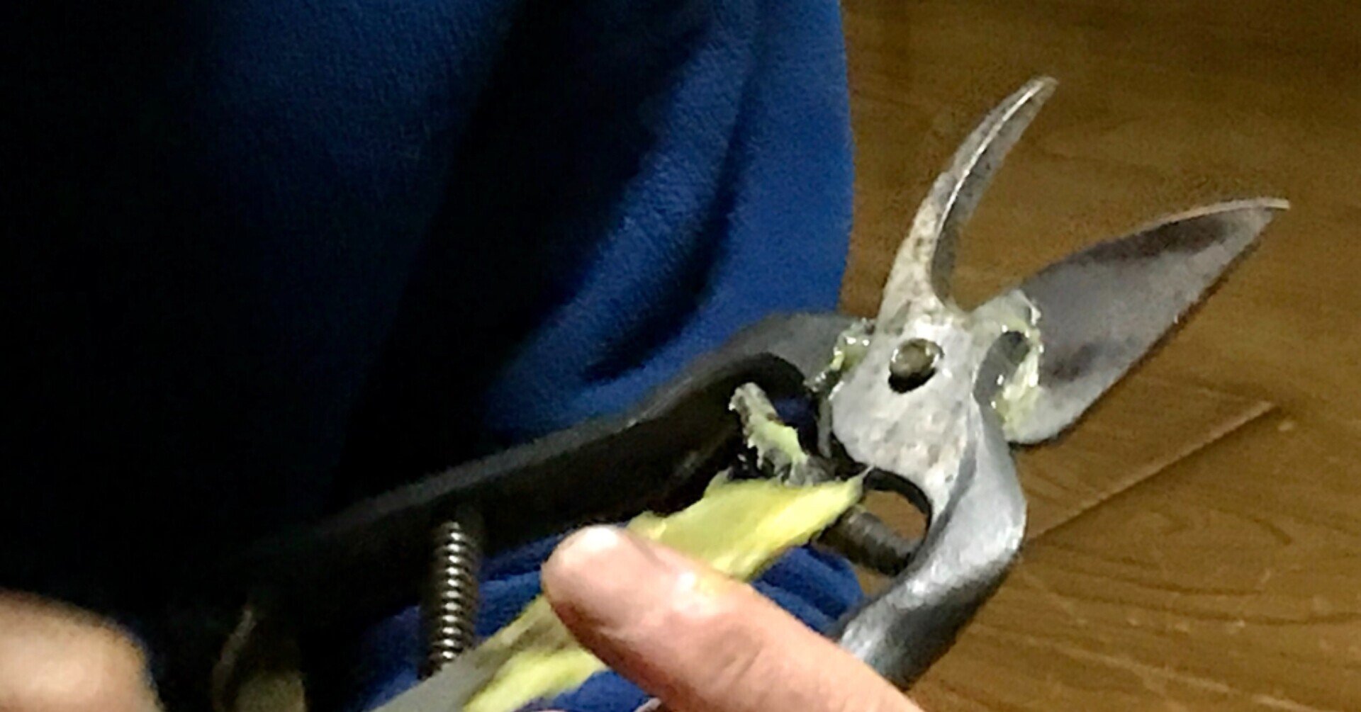 剪定鋏の手入れの仕方 Atsuko Nagai Note