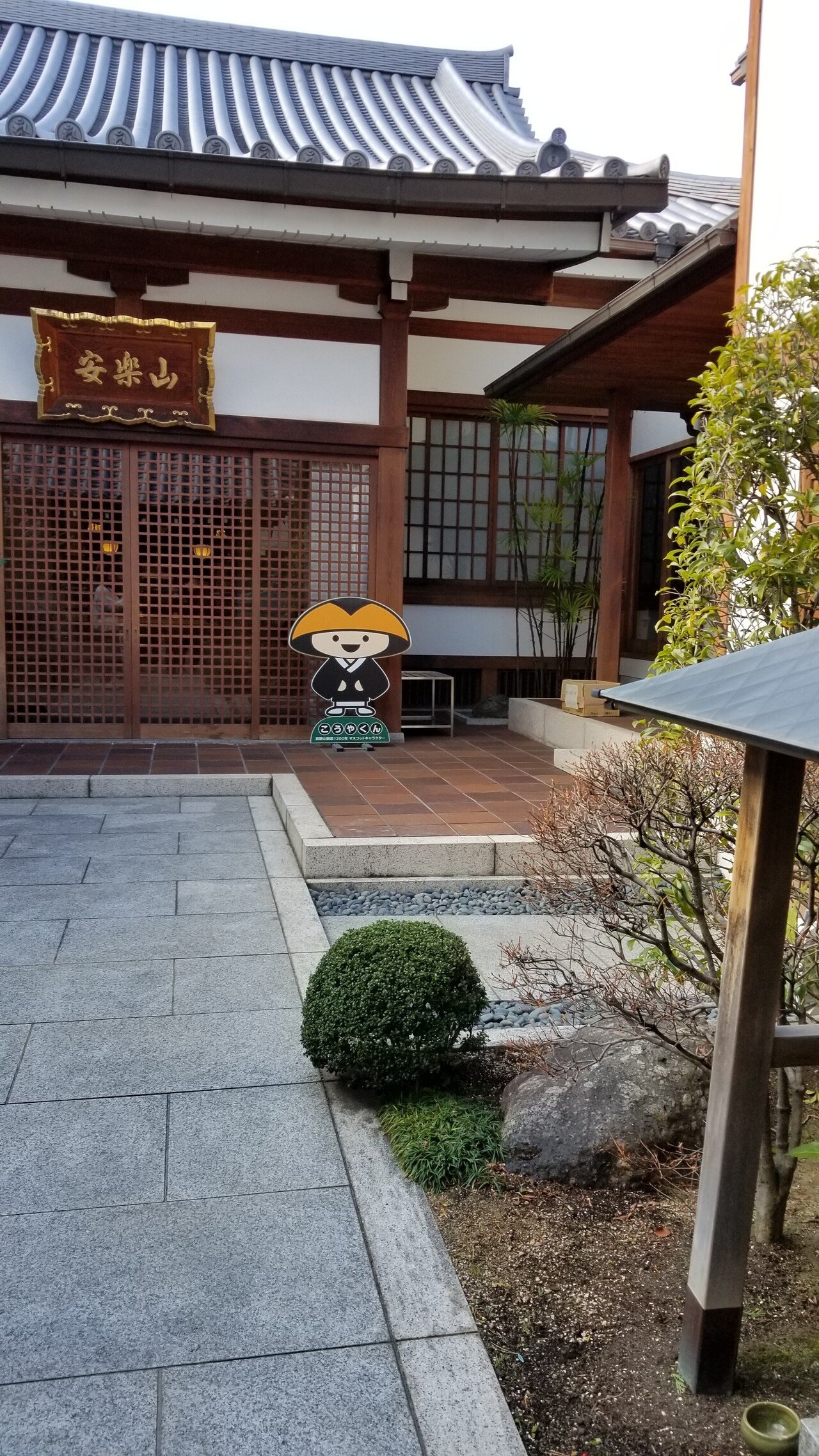 こうやくん｜佐原高野