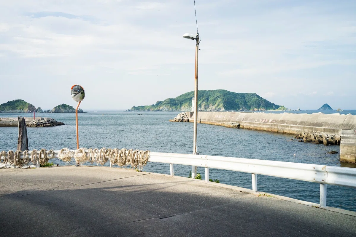 画像15